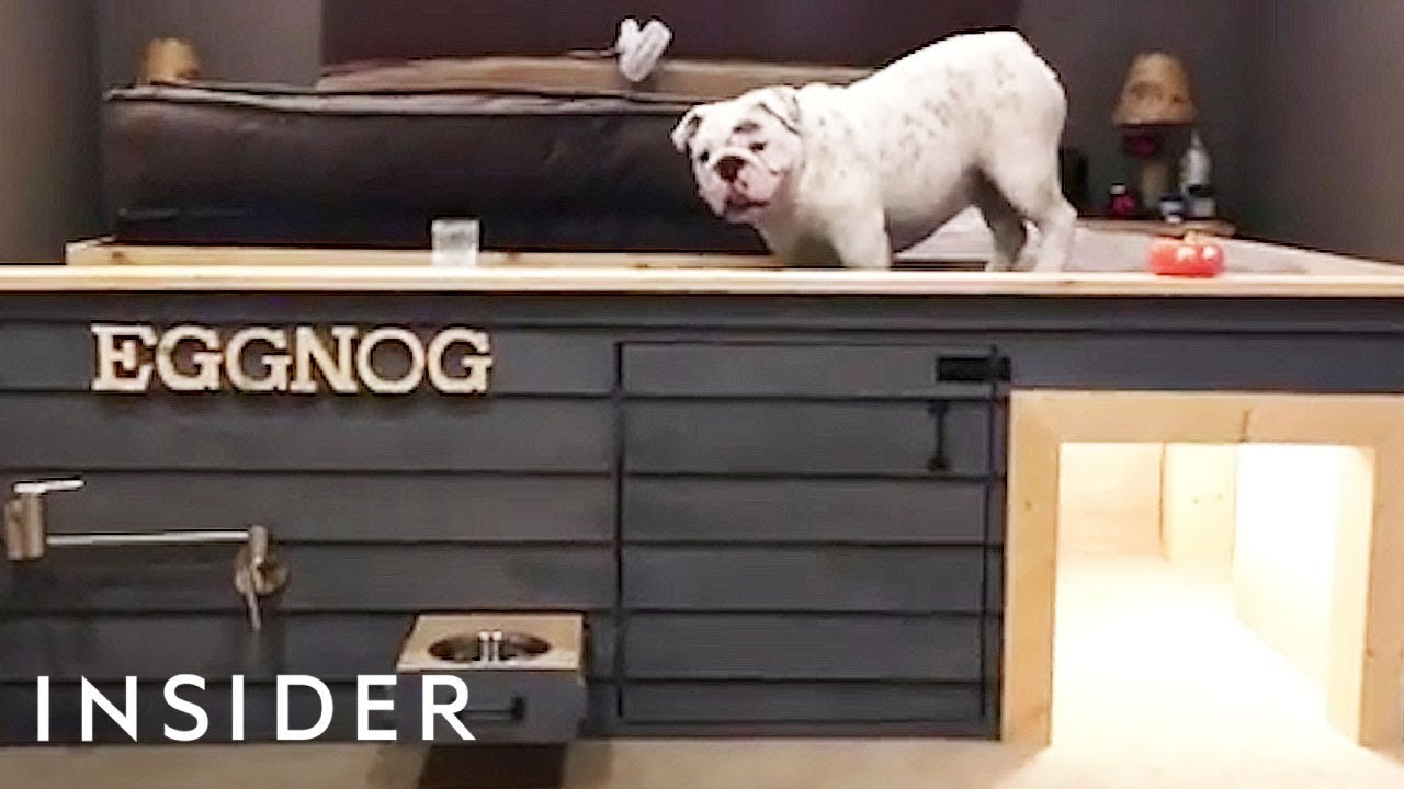 Eggnog The Bulldog
 Bulldog Dog House Is Probably Better Than Your Apartment