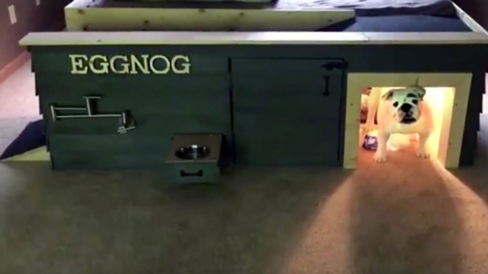 Eggnog The Bulldog
 Eggnog the Bulldog Has the Coolest Custom Doghouse [Video