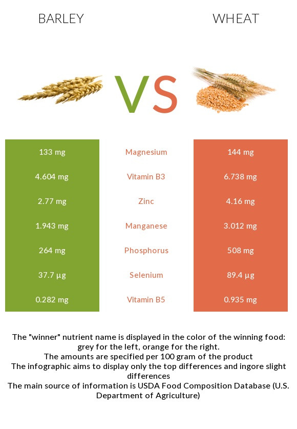 Fiber In Barley
 Barley vs Wheat In Depth Nutrition parison