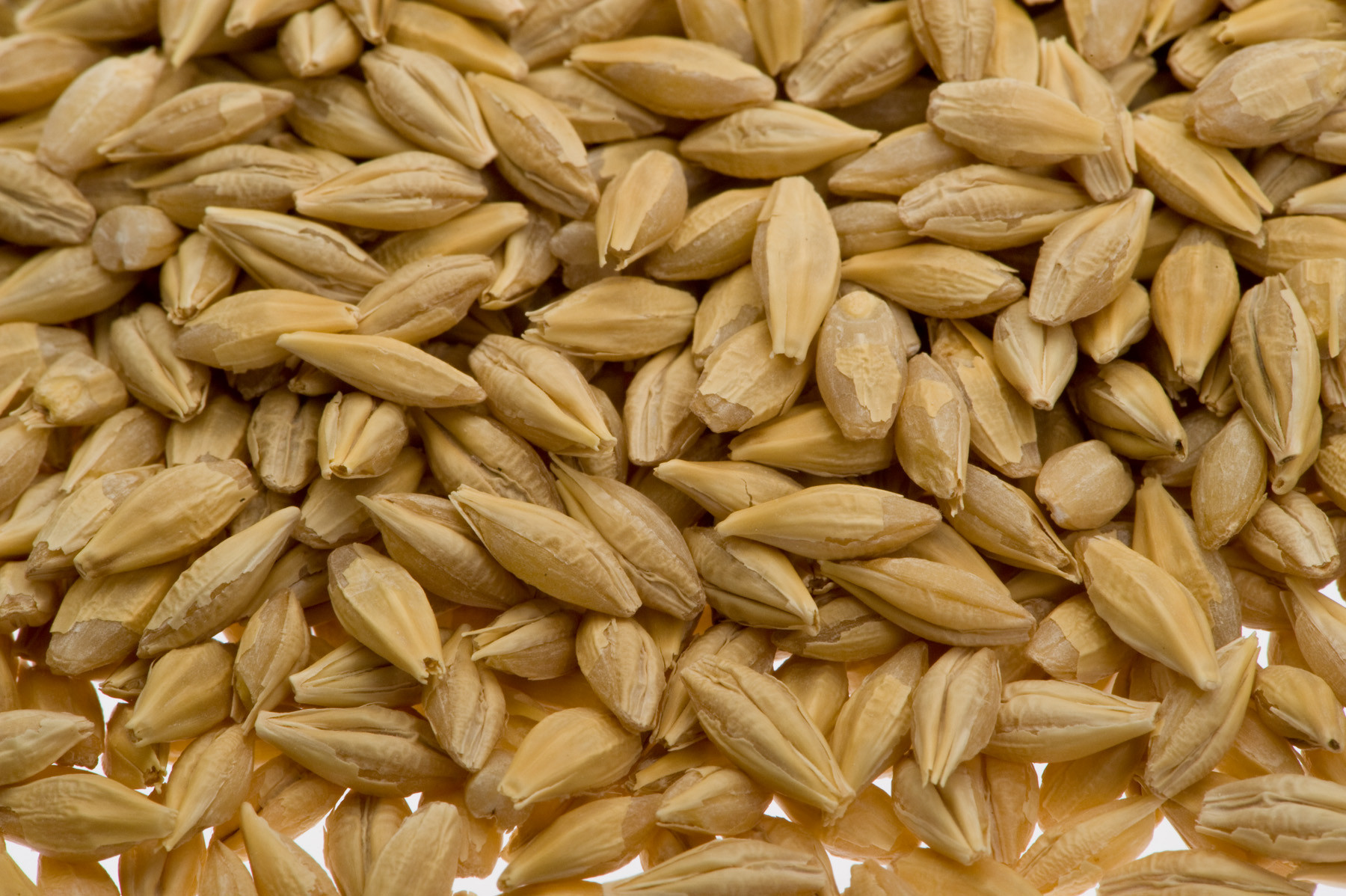 Fiber In Barley
 Did You Know That Barley Helps To Prevent Breast Cancer