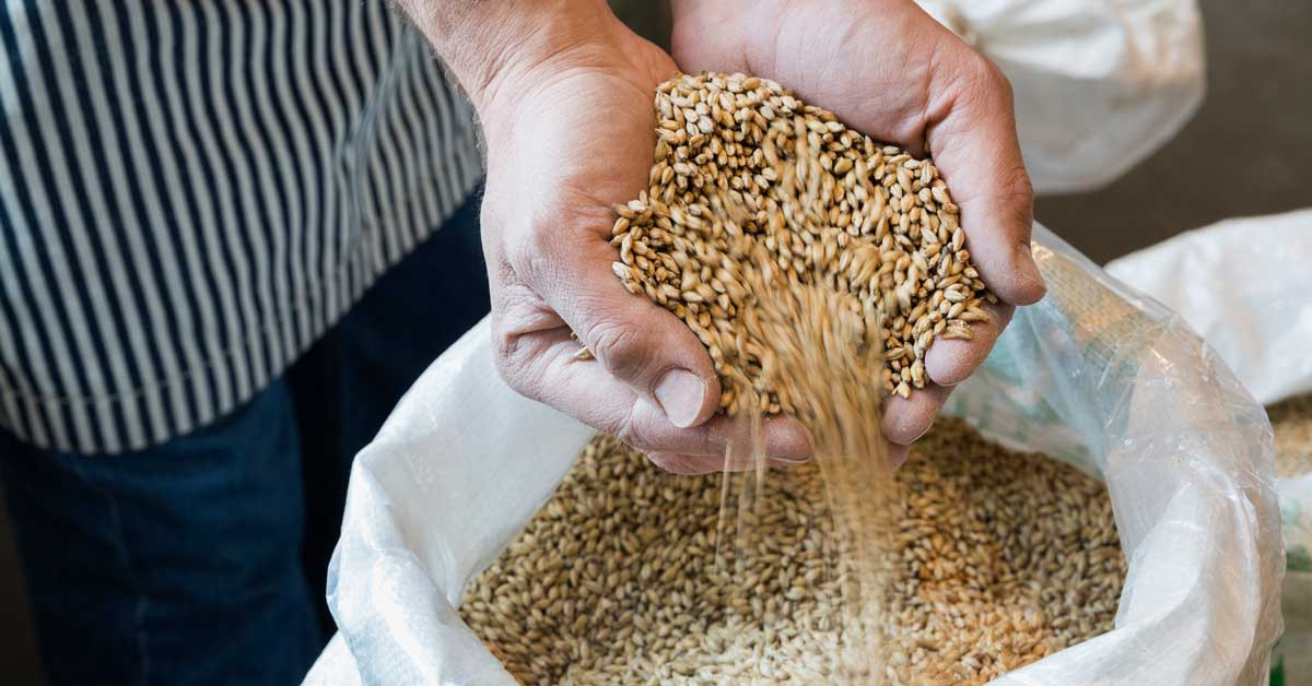 Fiber In Barley
 9 Impressive Health Benefits of Barley