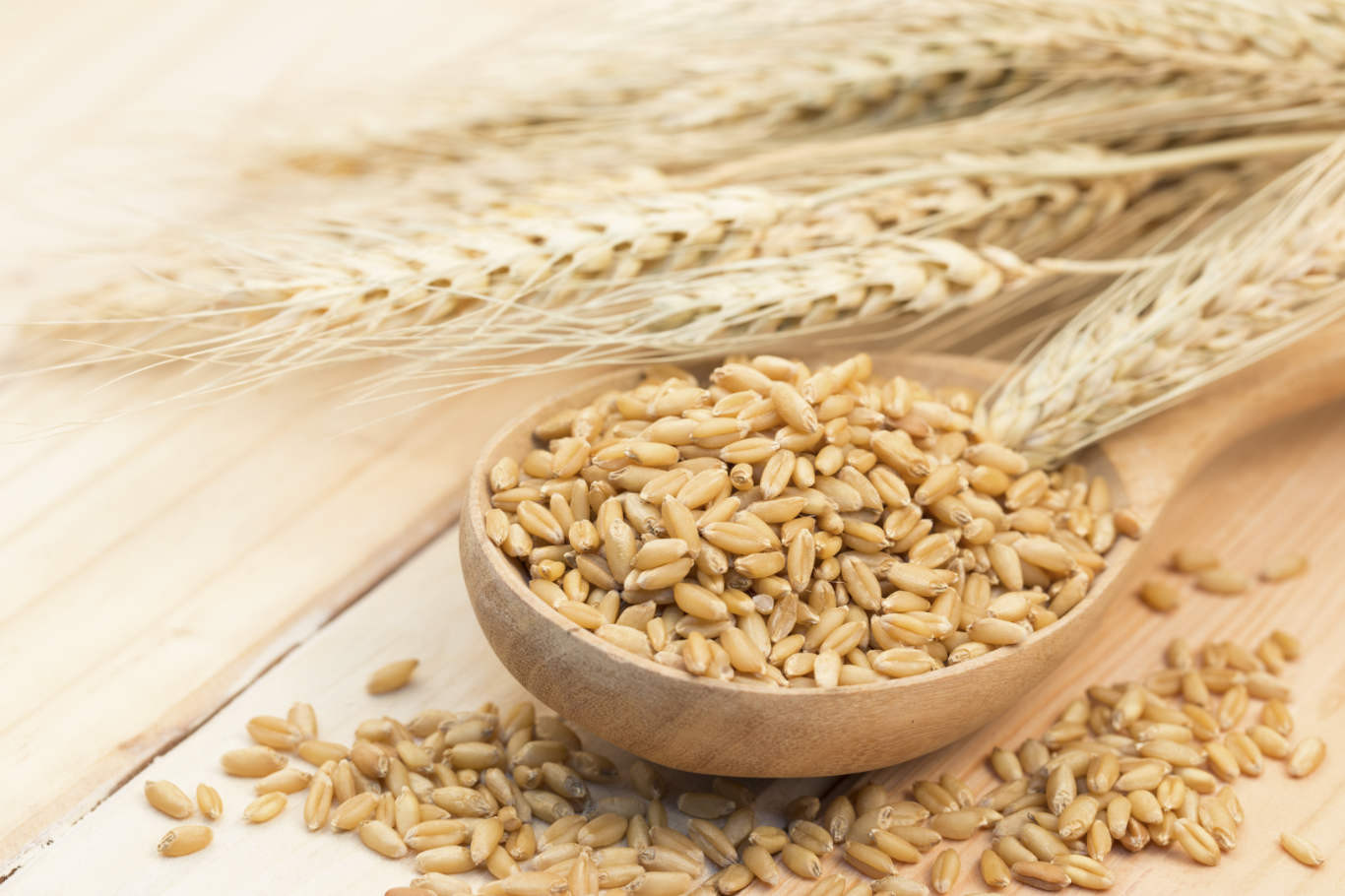 Fiber In Barley
 Barley The Lowest Glycemic Grain