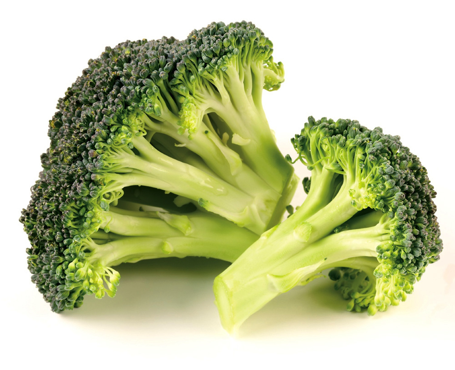 Fiber In Broccoli
 How Many Carbs in Broccoli