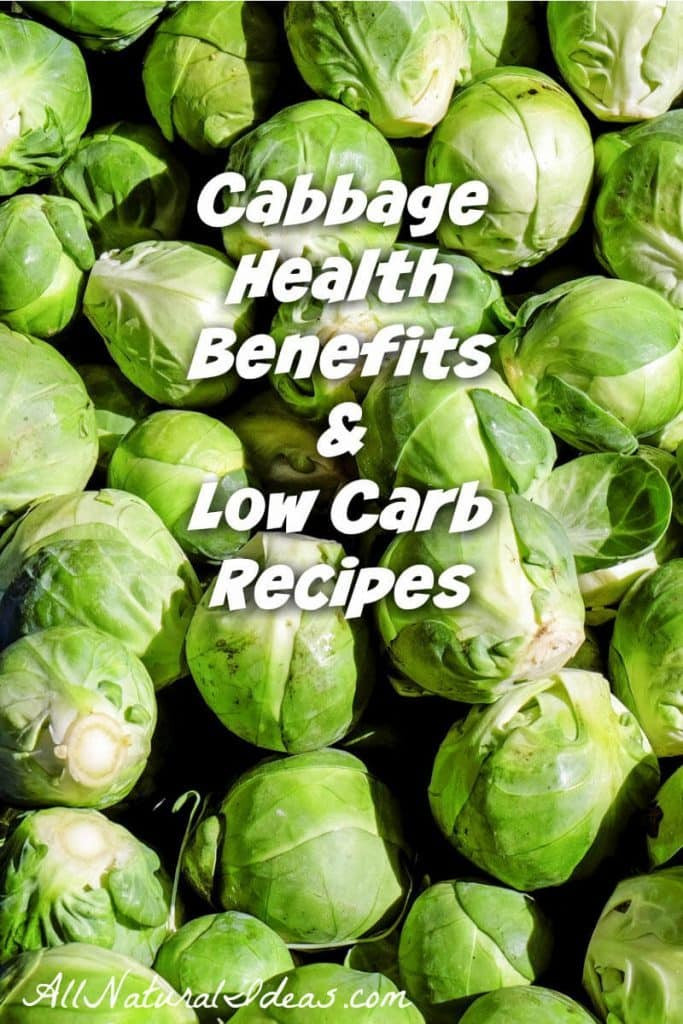 Fiber In Cabbage
 Cabbage Health Benefits and Recipes