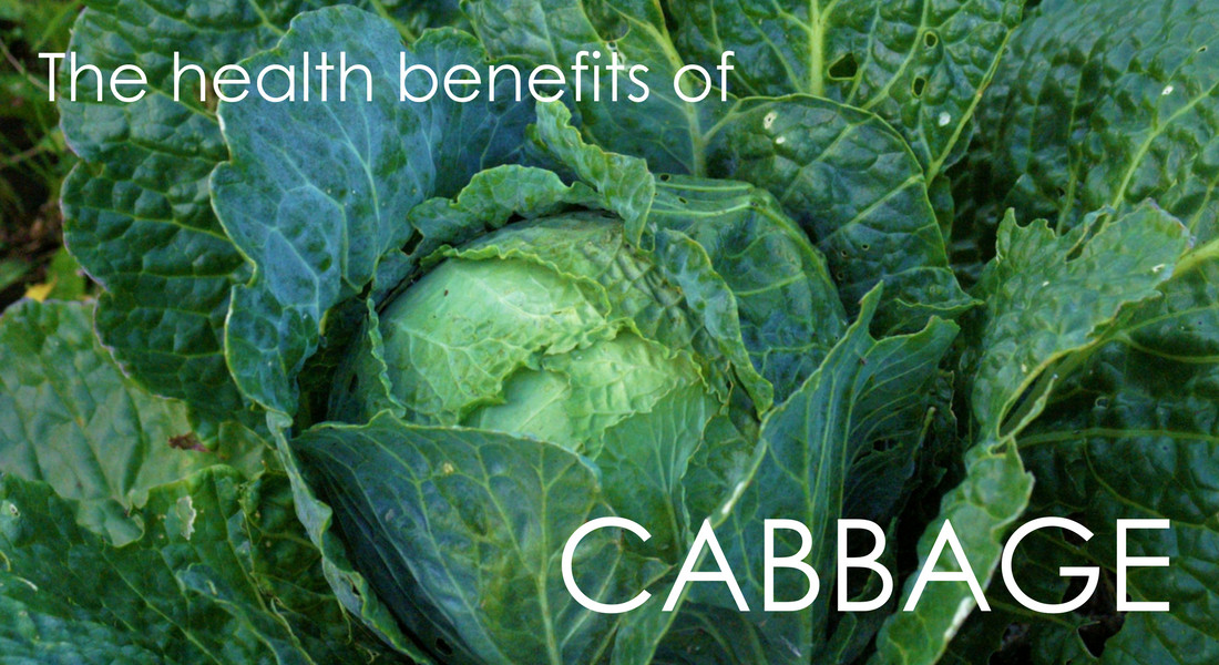 Fiber In Cabbage
 Health Benefits of Cabbage