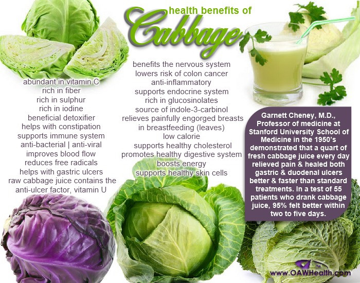 Fiber In Cabbage
 25 Amazing Health Benefits of Cabbage OAWHealth