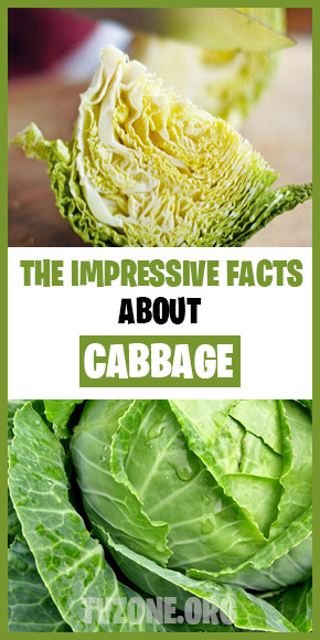 Fiber In Cabbage
 The Impressive Facts About Cabbage