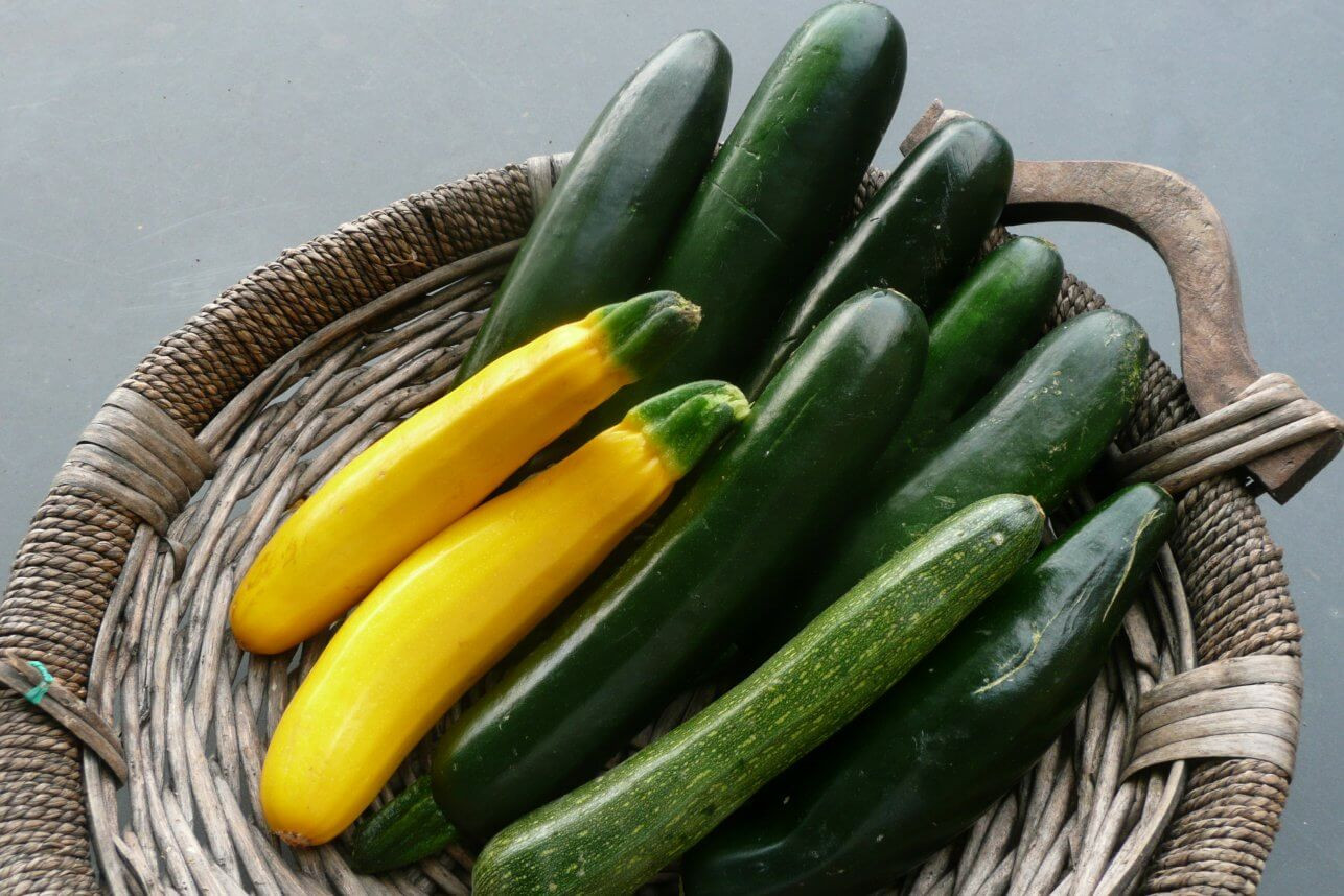 Fiber In Zucchini
 Eating Zucchini Does Wonders For Weight Loss Alkaline