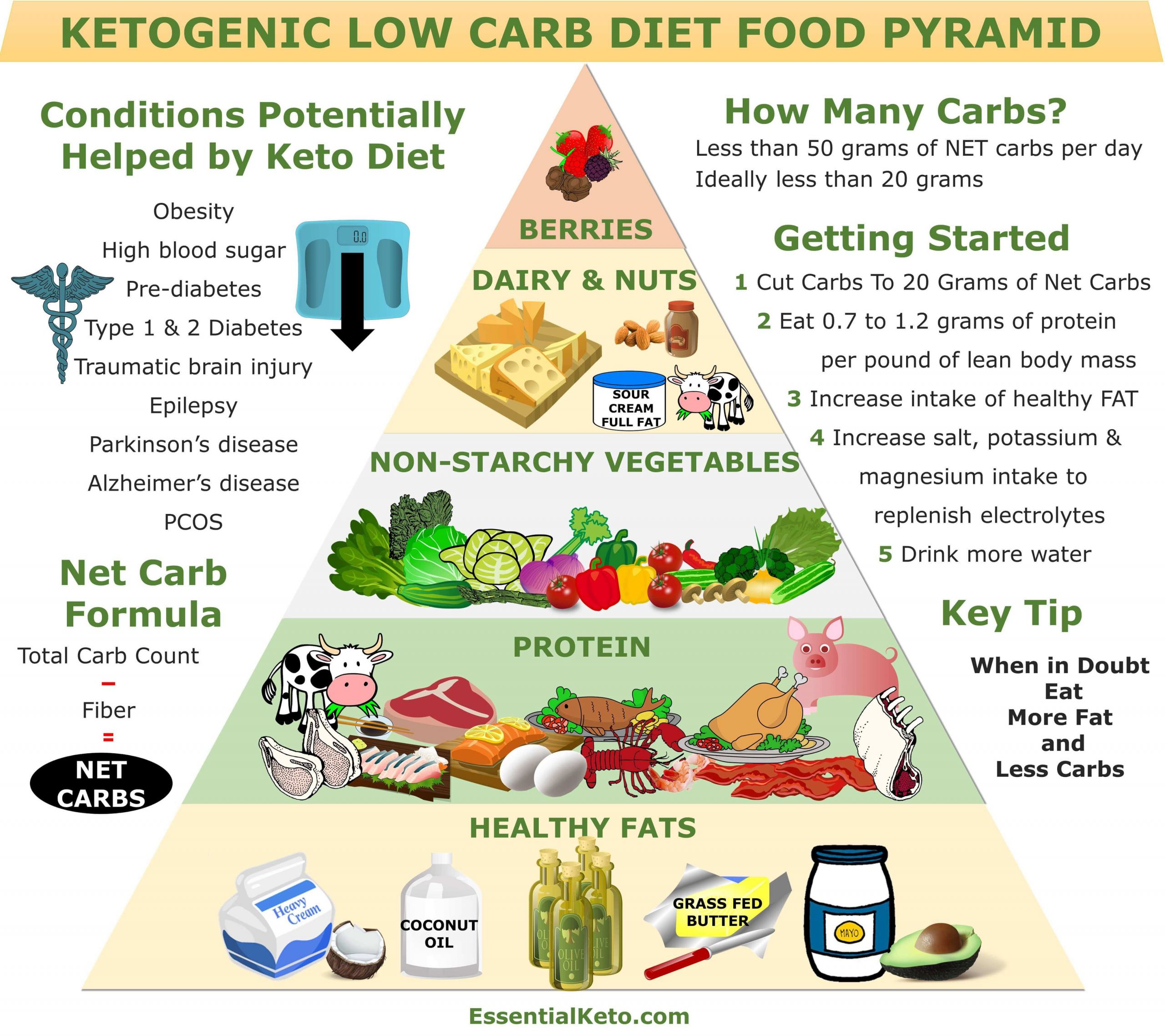 Food To Eat On Keto Diet
 Keto Food Pyramid