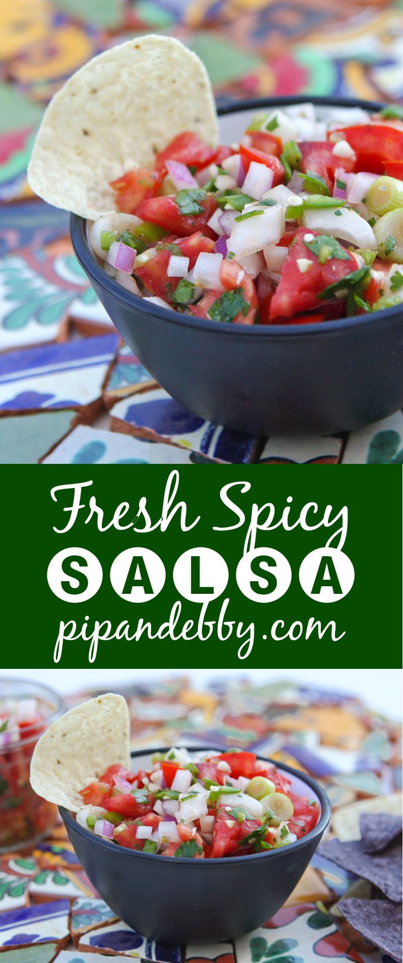 Fresh Salsa Recipe Spicy
 Fresh Homemade Spicy Salsa Recipe