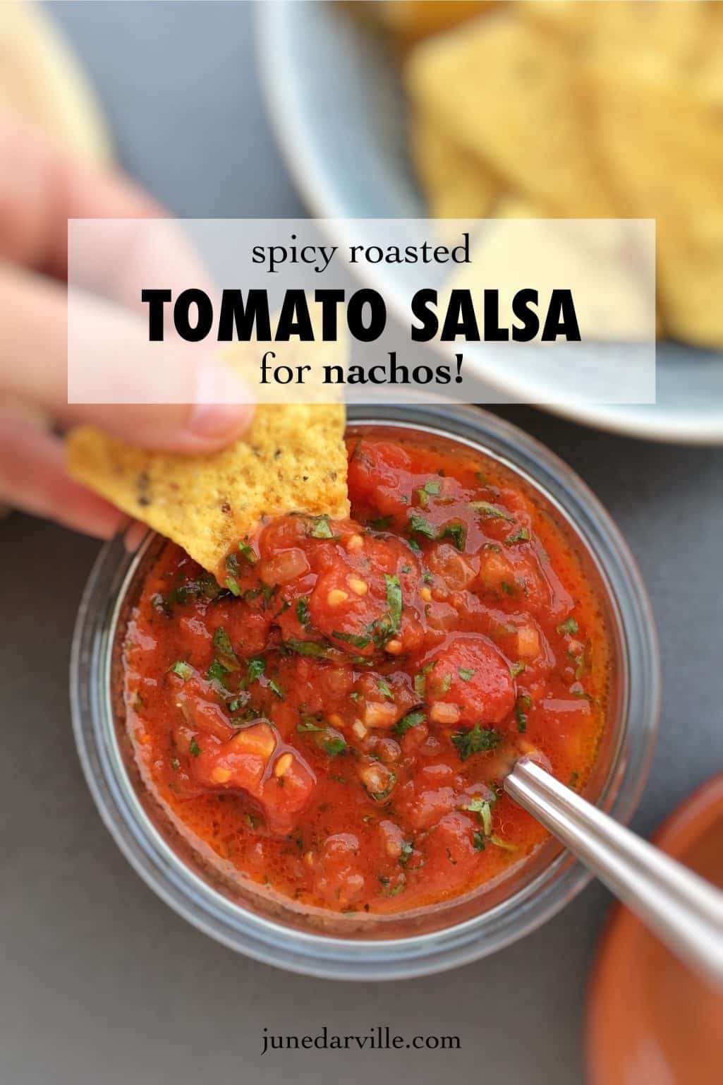 Fresh Salsa Recipe Spicy
 Spicy Roasted Tomato Salsa Recipe