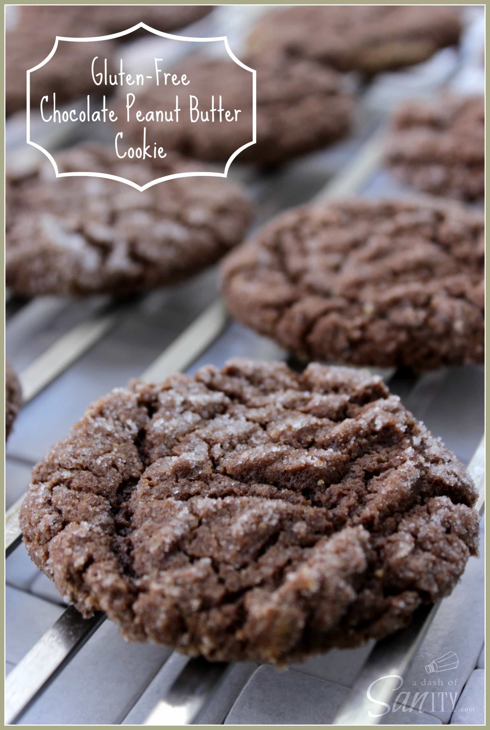 Gluten Free Candy Recipes
 Gluten Free Chocolate Peanut Butter Cookies A Dash of Sanity