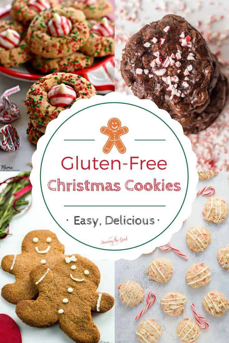 Gluten Free Dairy Free Christmas Cookies
 Gluten Free Christmas Cookies Recipes The best collection