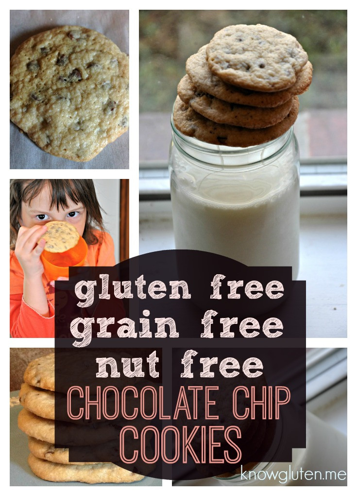Gluten Free Dairy Free Nut Free Desserts
 Gluten Free Grain Free Nut Free Chocolate Chip Cookies