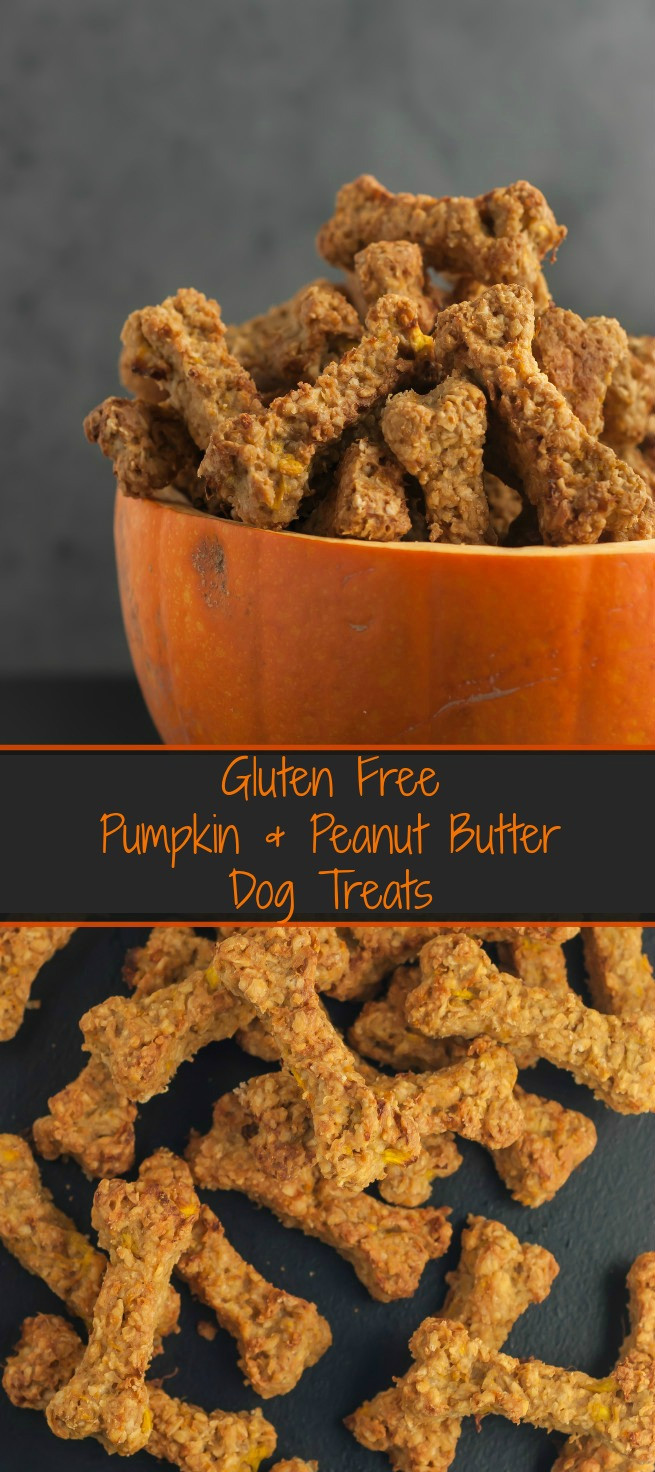 Gluten Free Dog Treat Recipes
 Gluten Free Pumpkin & Peanut Butter Dog Treats