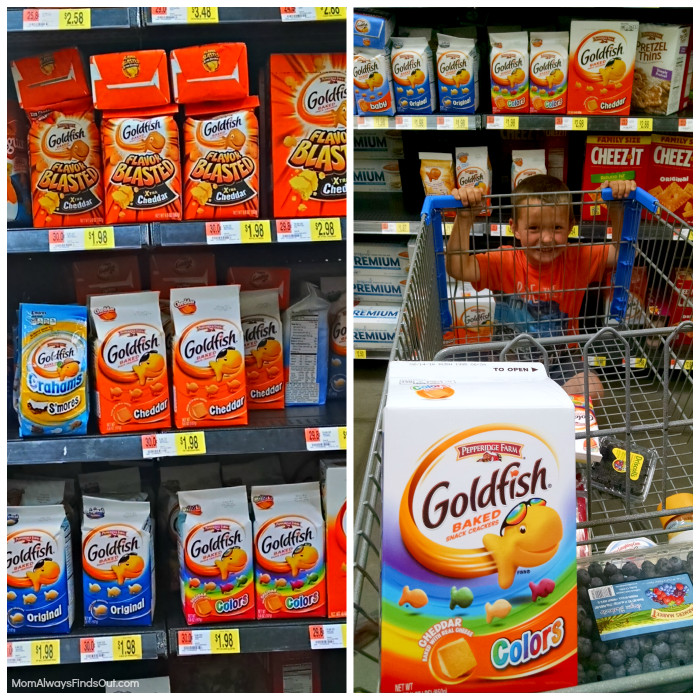 Goldfish Crackers Walmart
 Why I send Wet es Wipes to School in My Child s Lunchbox