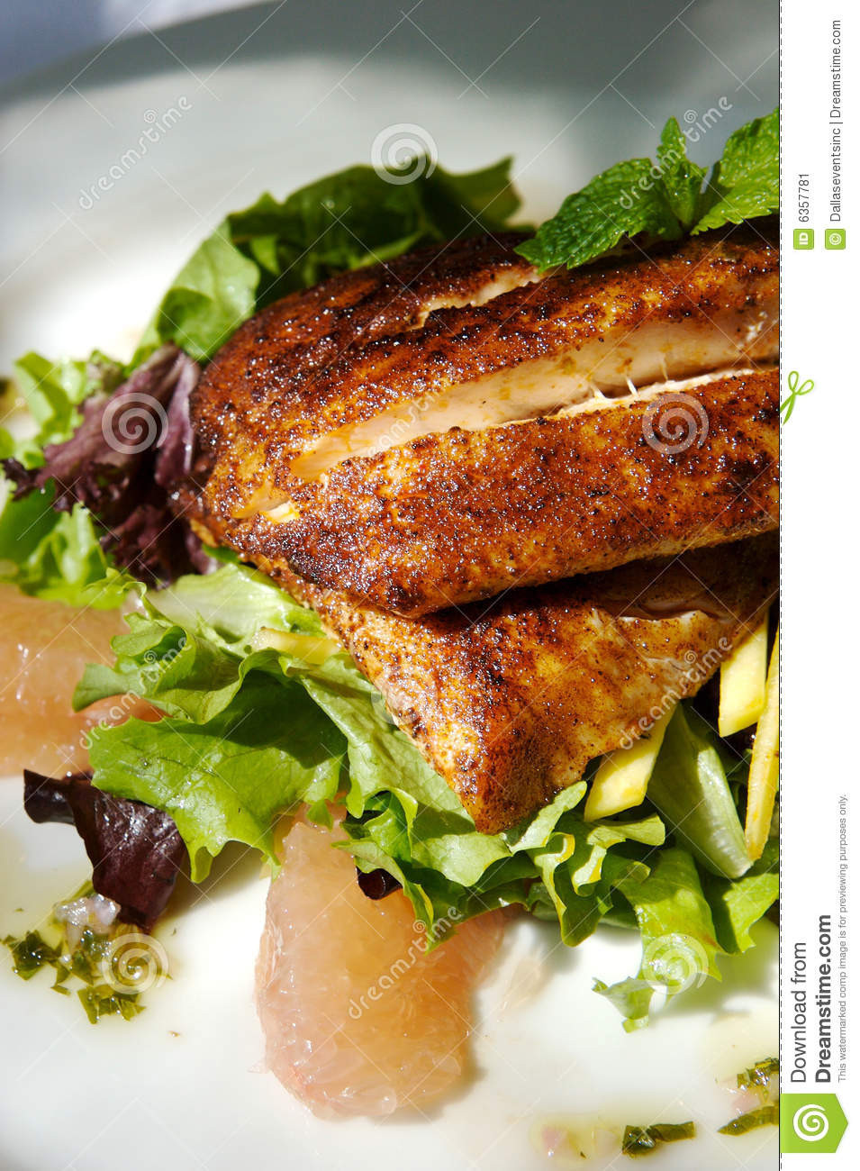 Gourmet Chicken Salad
 Gourmet Chicken And Citrus Salad Stock Image Image of