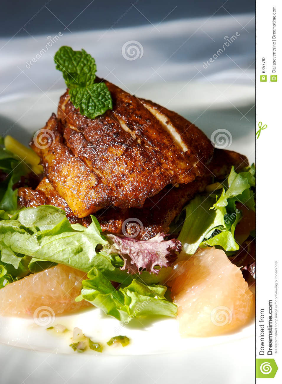 Gourmet Chicken Salad
 Gourmet Chicken And Citrus Salad Stock Image of