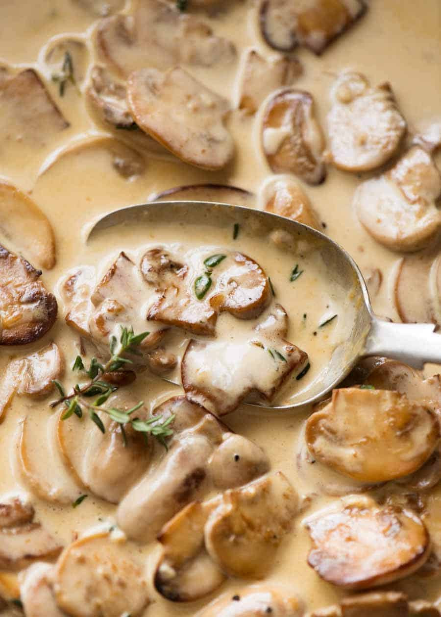 Gourmet Mushroom Recipes
 A Mushroom Sauce for Everything – The Cookbook Network