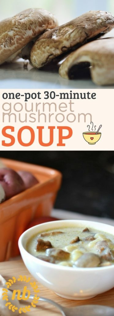 Gourmet Mushroom Recipes
 Gourmet Mushroom Soup recipe