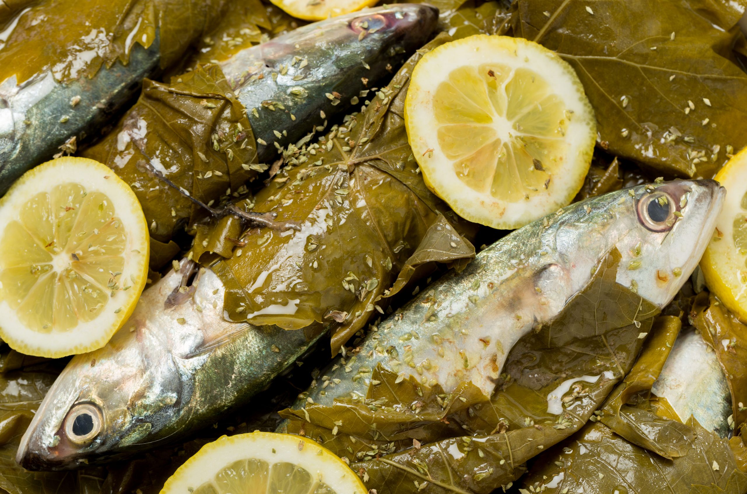Greek Fish Recipes
 Recipe for Greek Style Fish Baked in Grape Leaves
