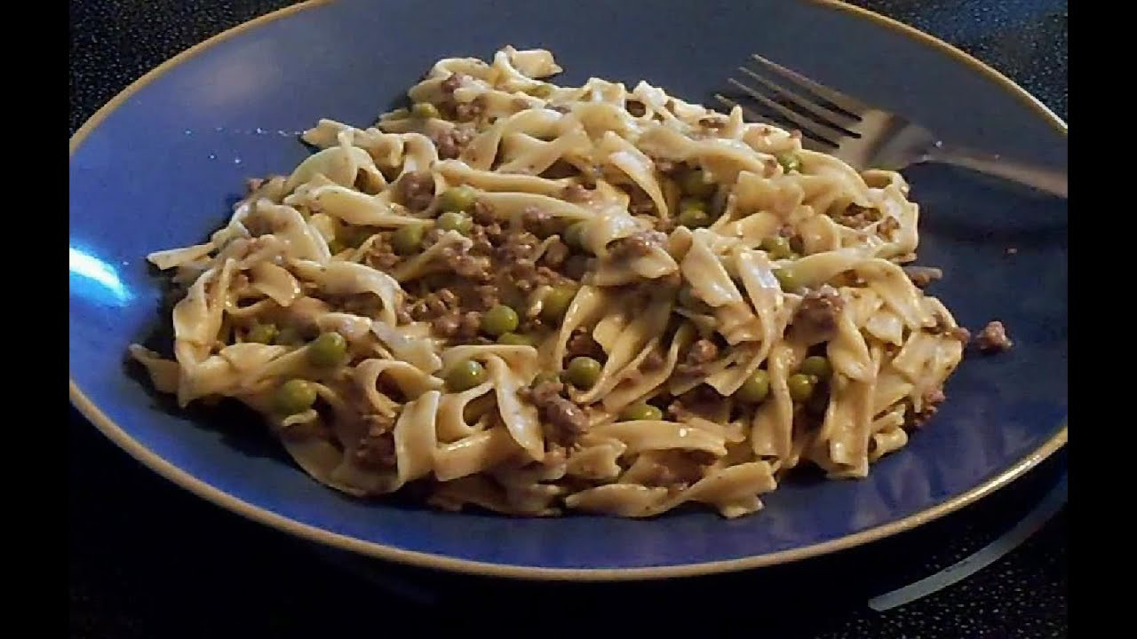 Ground Beef and Gravy Lovely Ground Beef Gravy and Noodles E53
