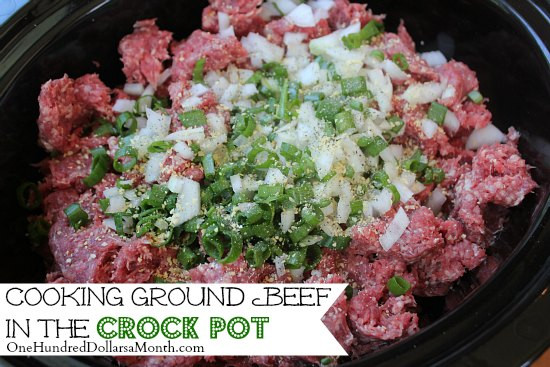 Ground Beef In Crock Pot
 Cooking Ground Beef in the Crock Pot e Hundred Dollars