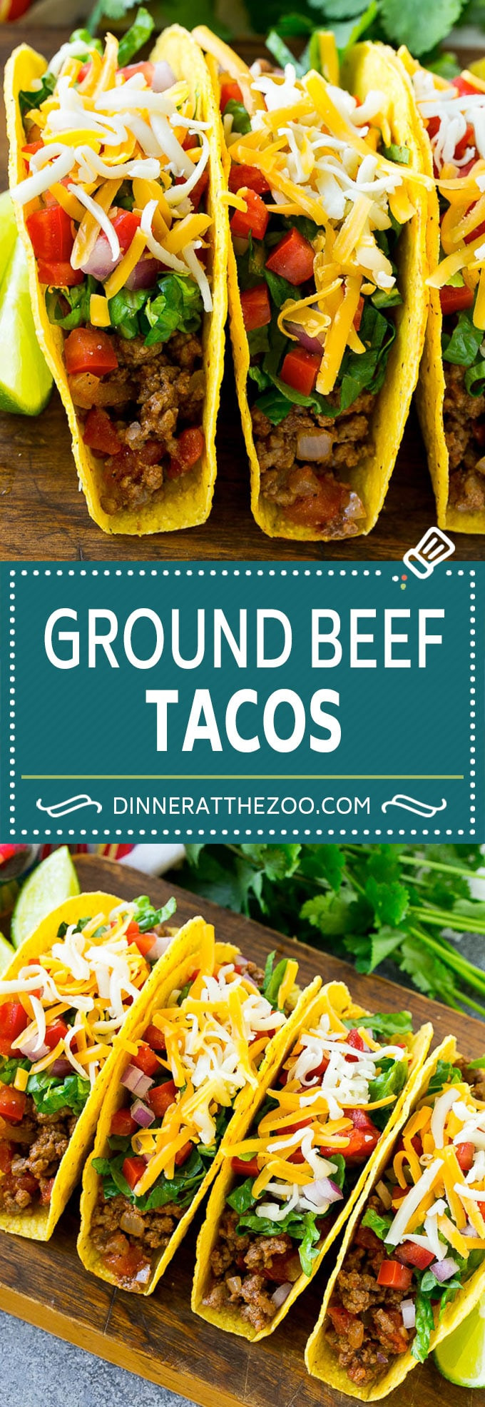 Ground Beef Tacos
 Ground Beef Tacos Dinner at the Zoo