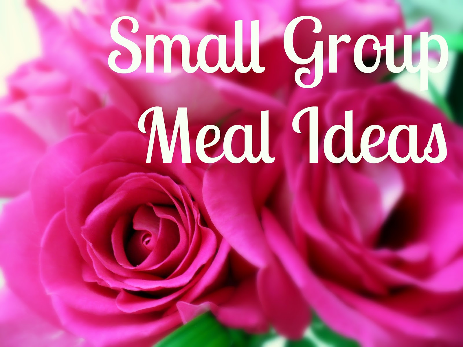 Group Dinner Ideas
 Small Group Meal Ideas