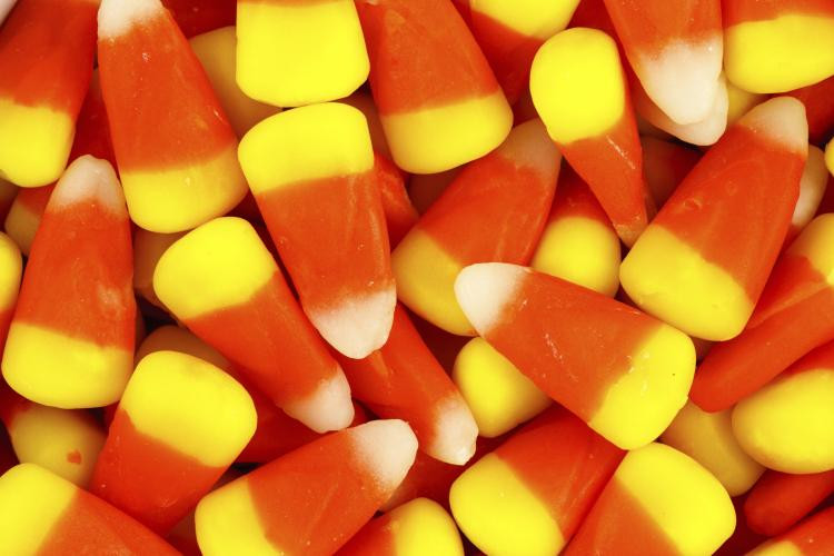 Gw2 Candy Corn Gobbler
 Fun Holiday – Candy Corn Day