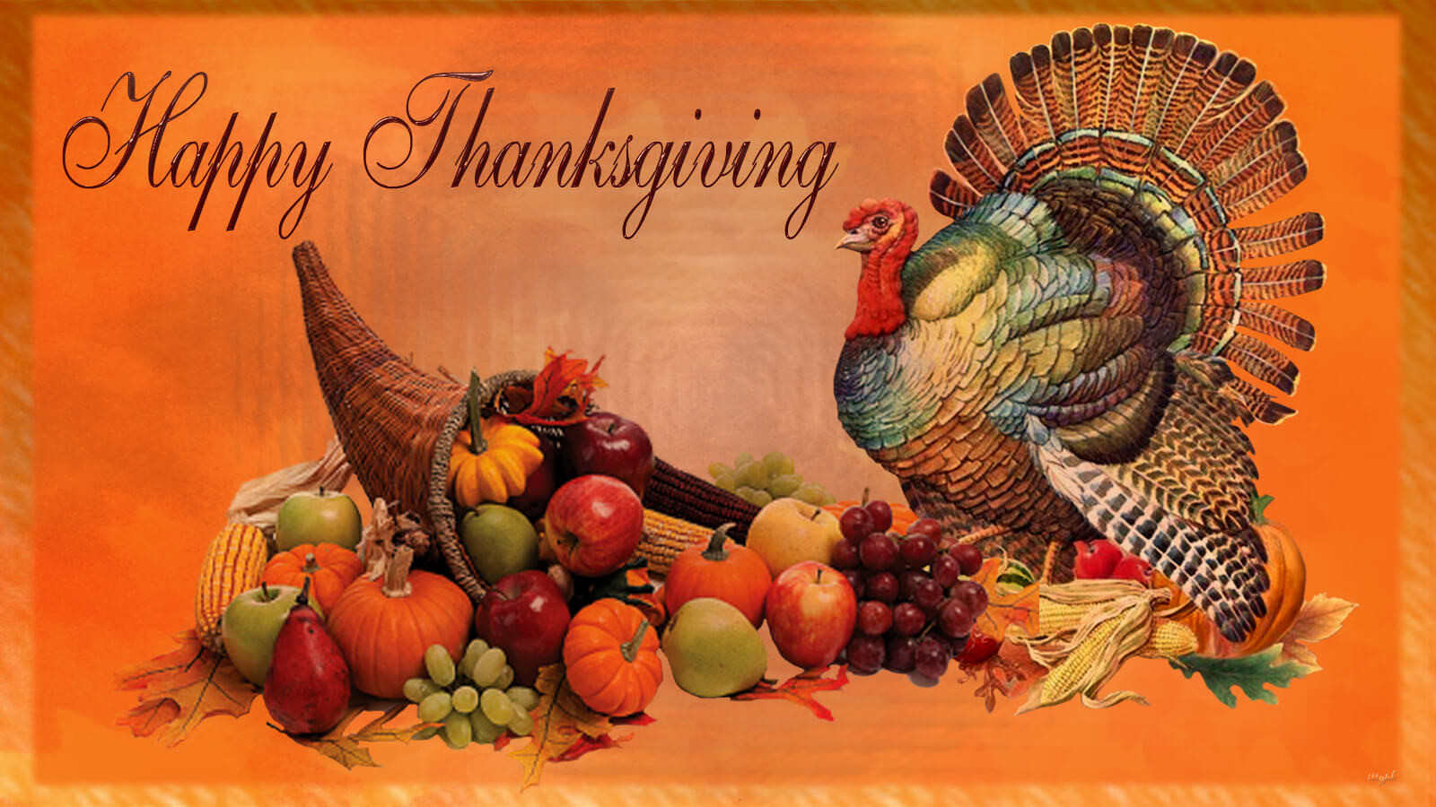 Happy Thanksgiving Turkey
 Happy Thanksgiving Day Pumpkin Background Hd Wallpaper