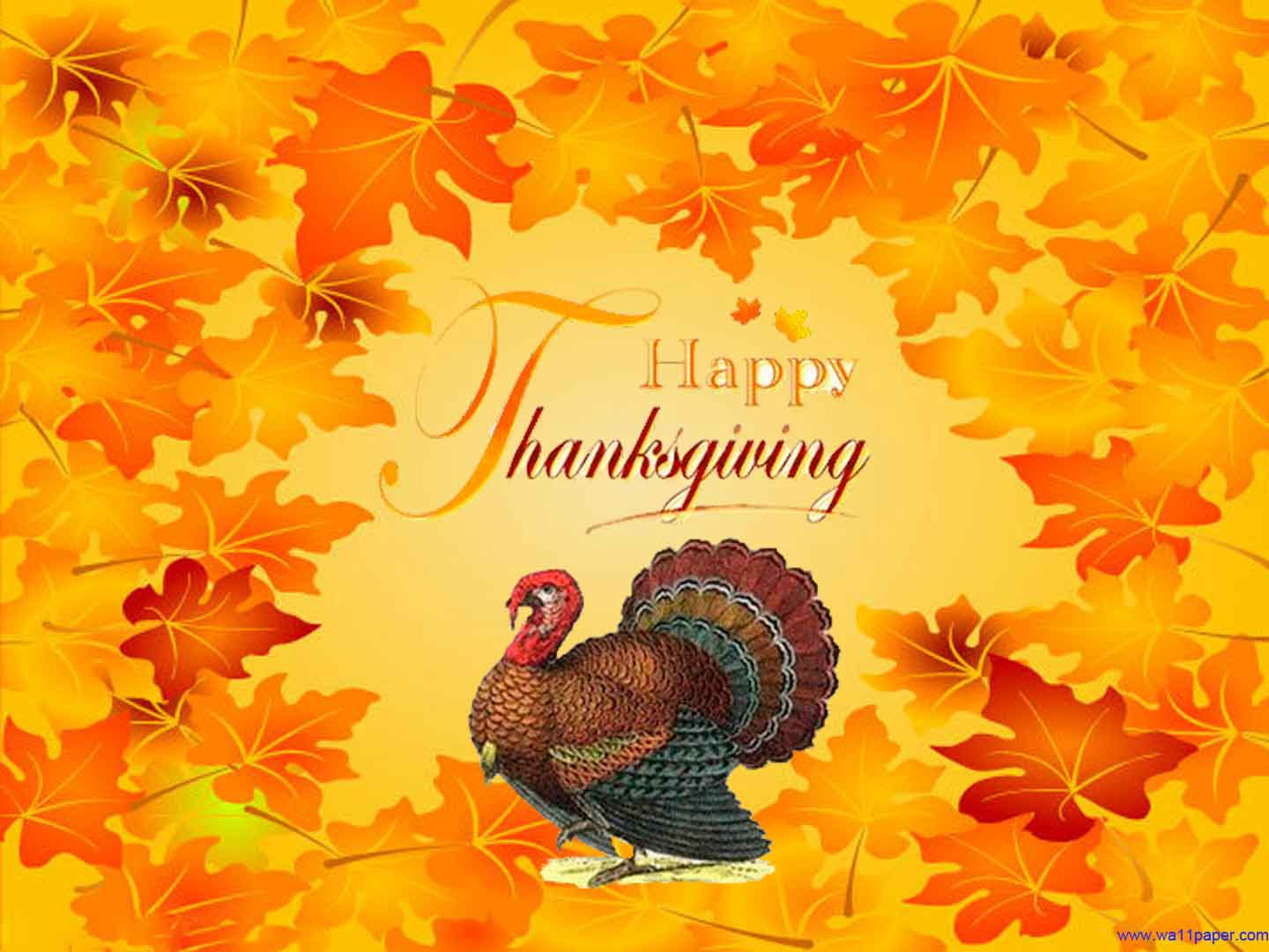 Happy Thanksgiving Turkey
 Happy Thanksgiving Wallpapers Free Wallpaper Cave