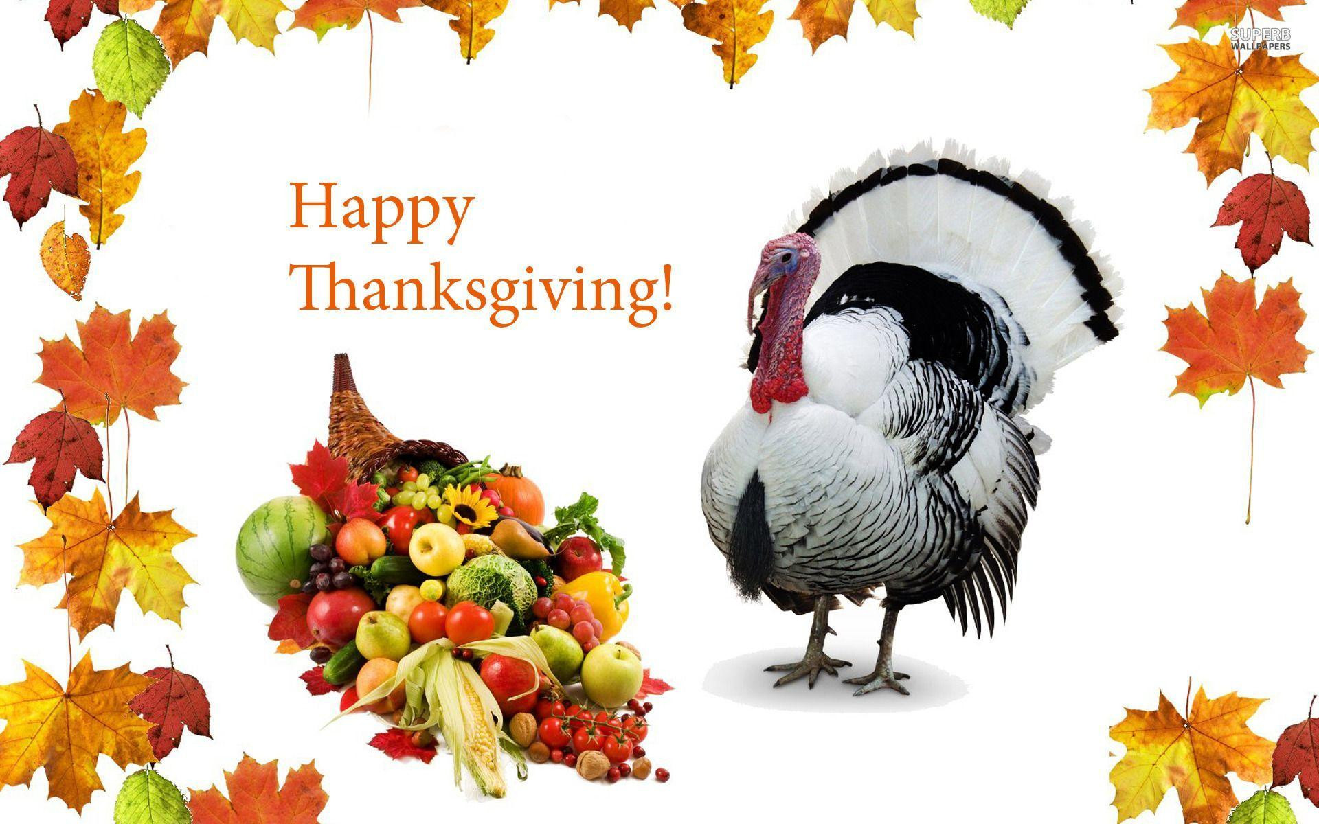 Happy Thanksgiving Turkey
 Happy Thanksgiving Wallpapers Wallpaper Cave