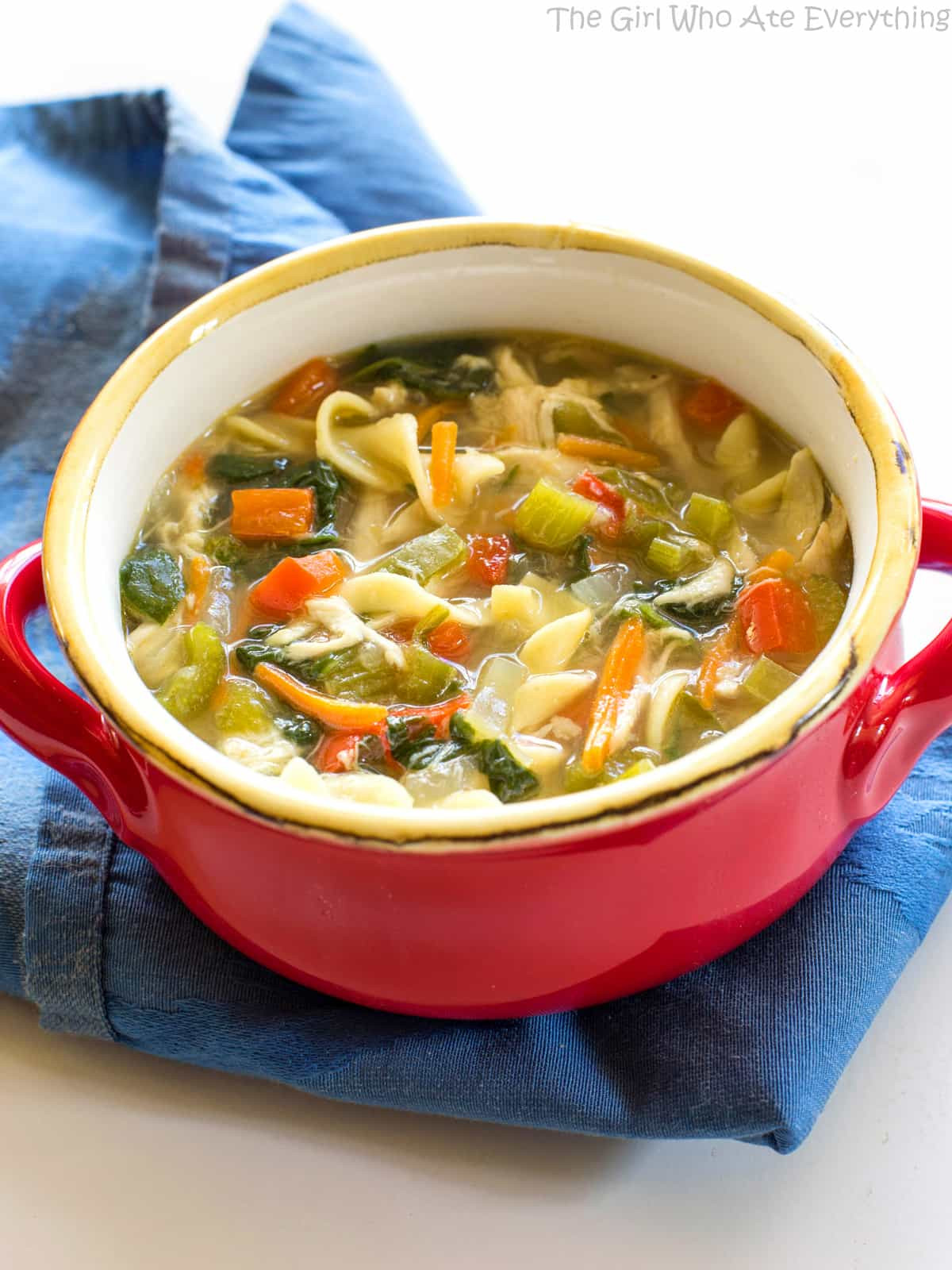 Healthy Chicken Vegetable soup Beautiful Healthy Ve Able Chicken soup the Girl who ate Everything