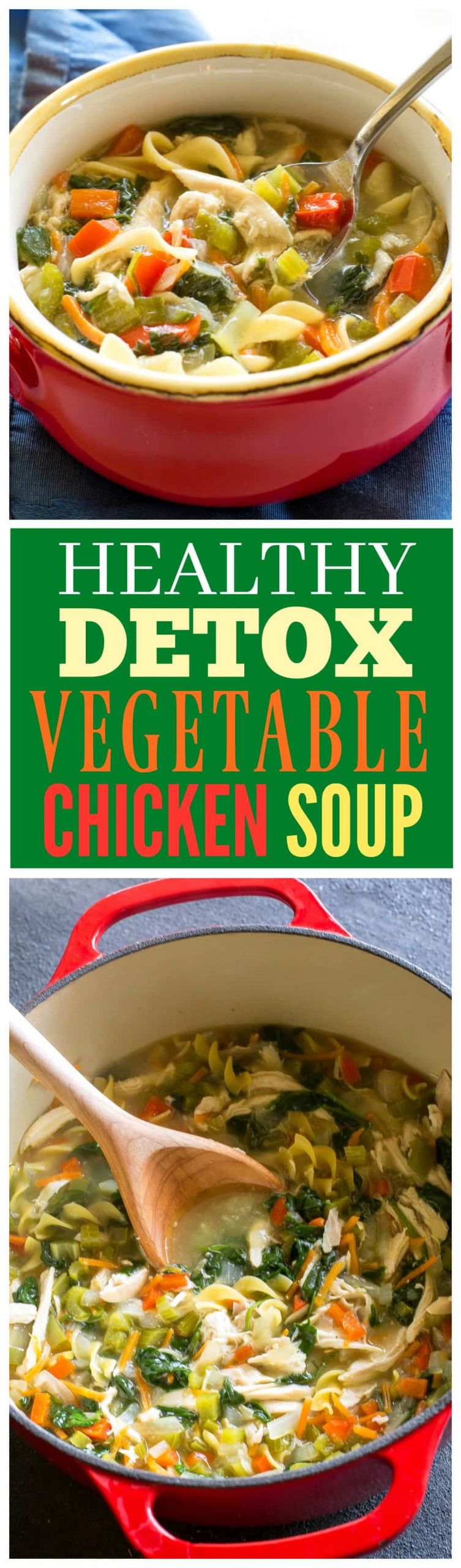 Healthy Chicken Vegetable Soup
 Healthy Ve able Chicken Soup The Girl Who Ate Everything