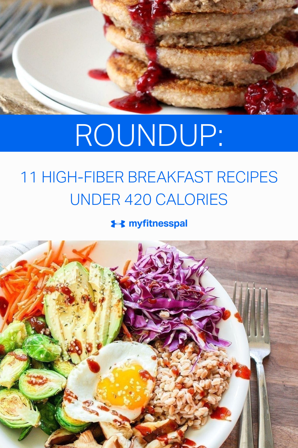 High Fiber Breakfast Recipe
 11 High Fiber Breakfast Recipes Under 420 Calories