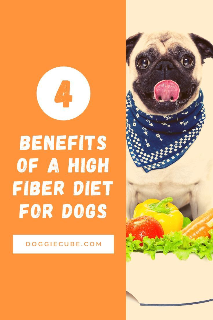High Fiber Dog Food Recipes
 4 Benefits of A High Fiber Diet For Dogs Doggie Cube in