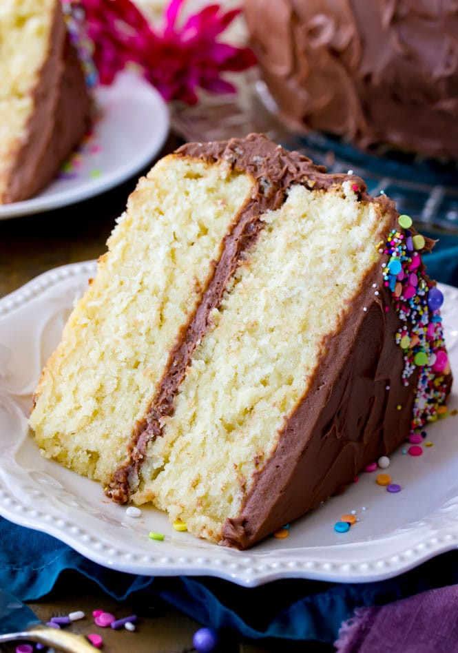 Homemade Cake Recipes
 The Best Vanilla Cake Recipe Sugar Spun Run