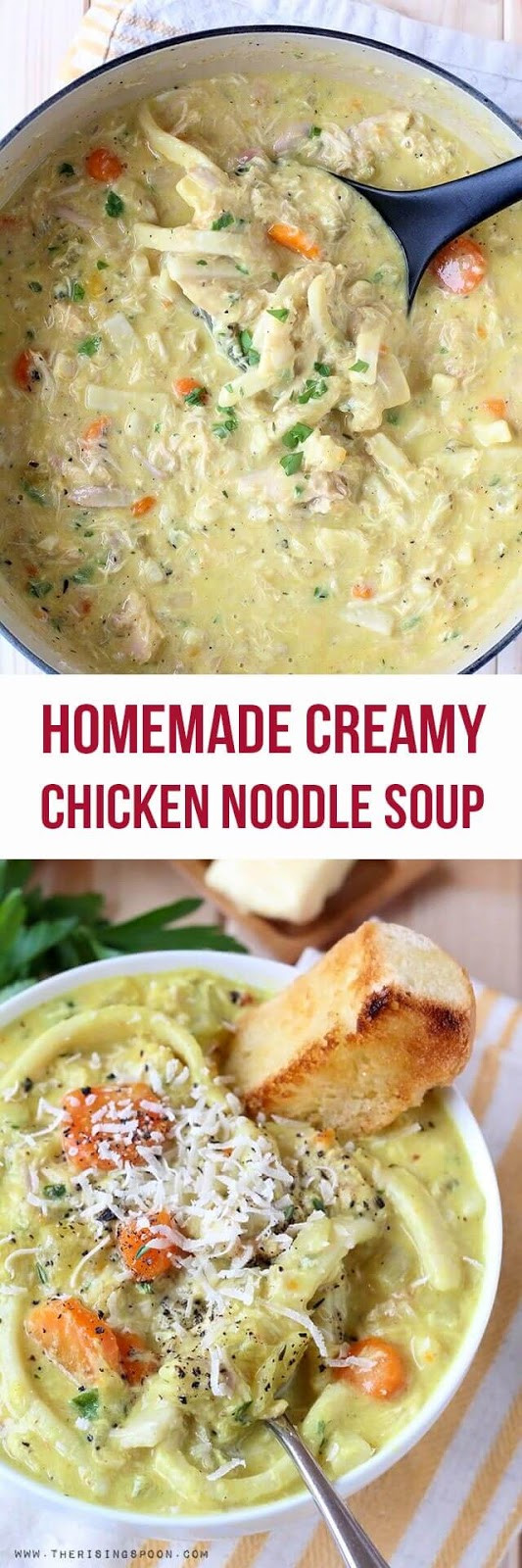 Homemade Creamy Chicken Noodle Soup
 Homemade Creamy Chicken Noodle Soup