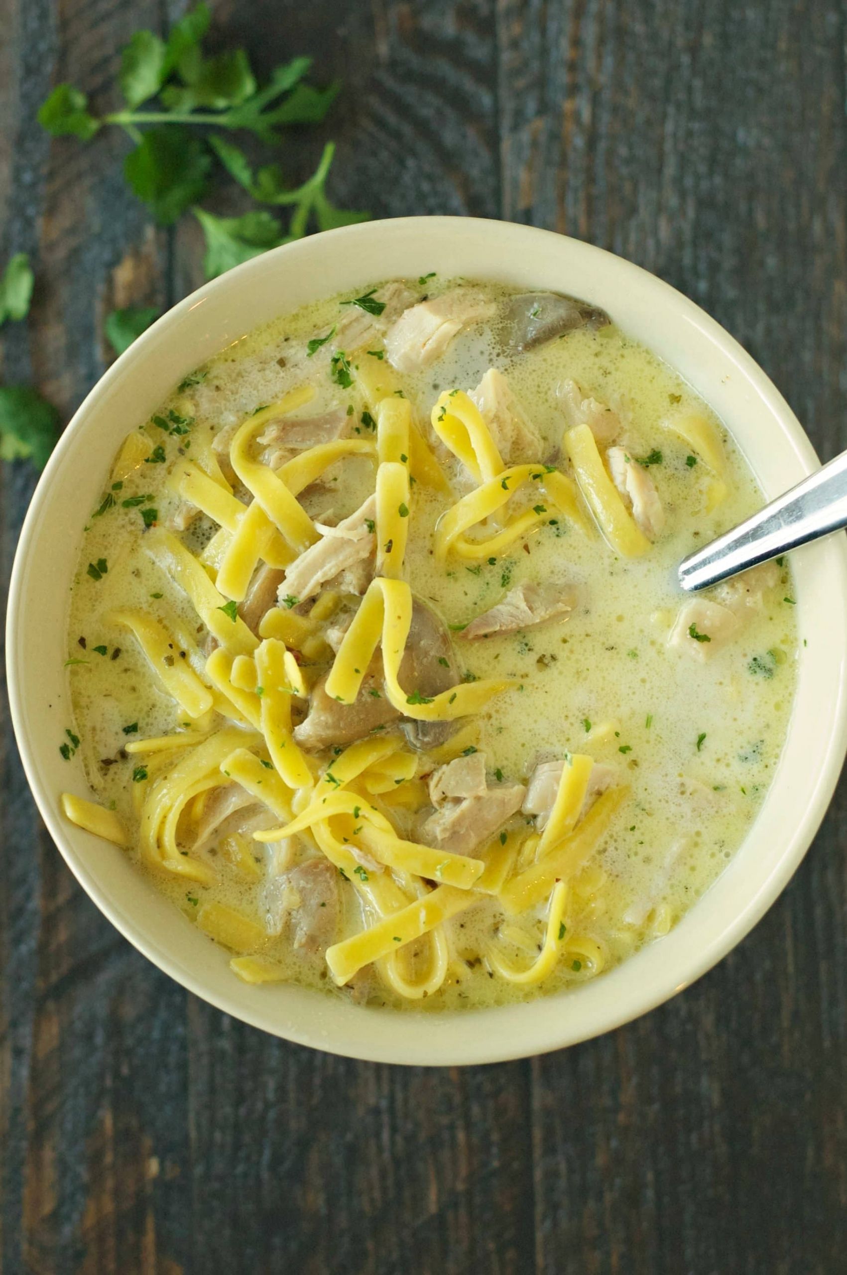 Homemade Creamy Chicken Noodle Soup
 Slow Cooker Creamy Chicken Noodle Soup Slow Cooker Gourmet