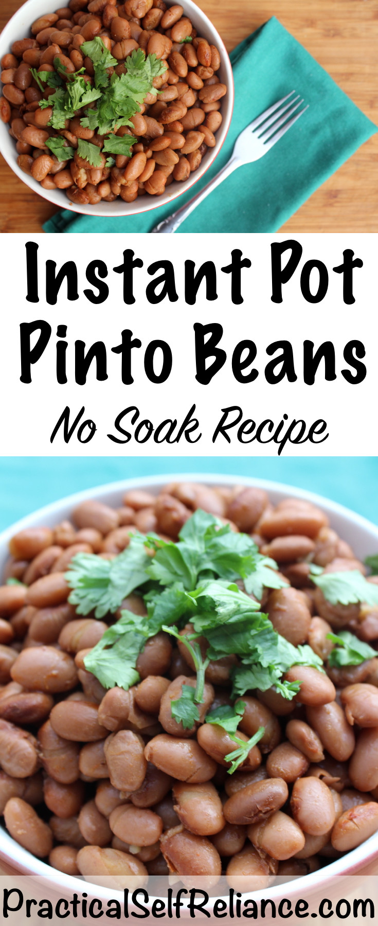 Instant Pot Bean Recipes
 Instant Pot Pinto Beans No Soak Recipe