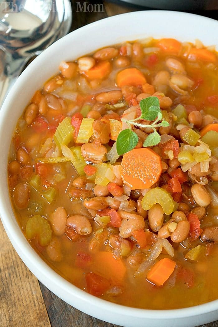 Instant Pot Bean Recipes
 Instant Pot Pinto Bean Soup · The Typical Mom