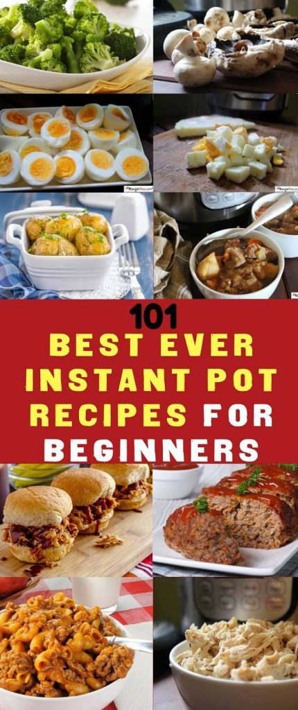 Instant Pot Beginner Recipes
 101 Instant Pot Recipes For Beginners Cookbook