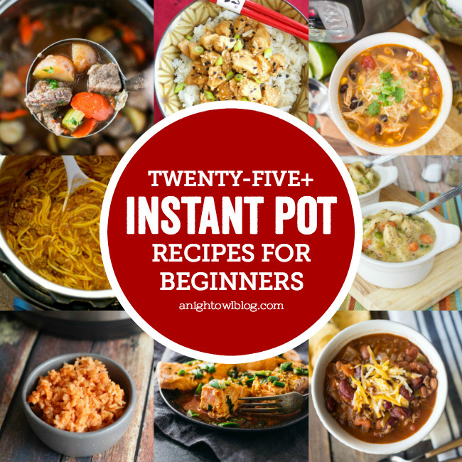 Instant Pot Beginner Recipes
 Instant Pot Recipes for Beginners