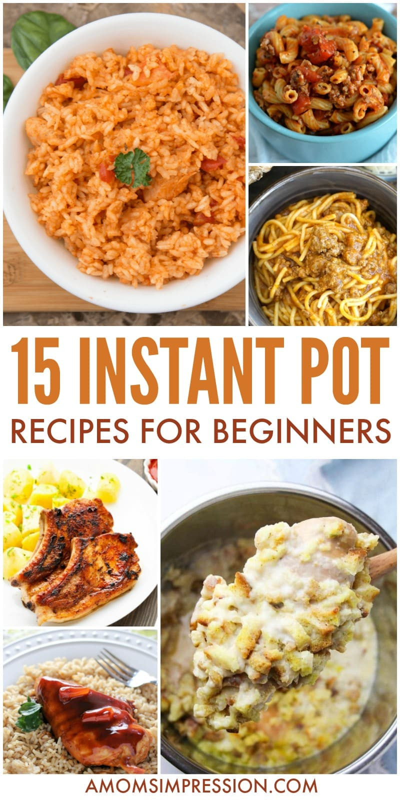Instant Pot Beginner Recipes
 15 Easy Instant Pot Recipes for Beginners A Mom s Impression