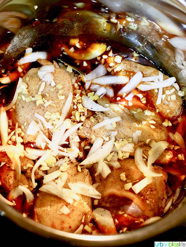 Instant Pot Filipino Recipes
 Filipino Chicken Adobo Instant Pot Recipe