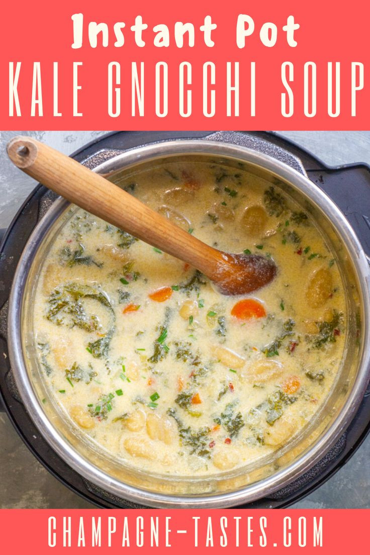 Instant Pot Gourmet Recipes
 Ve able Gnocchi Soup Recipe in 2020