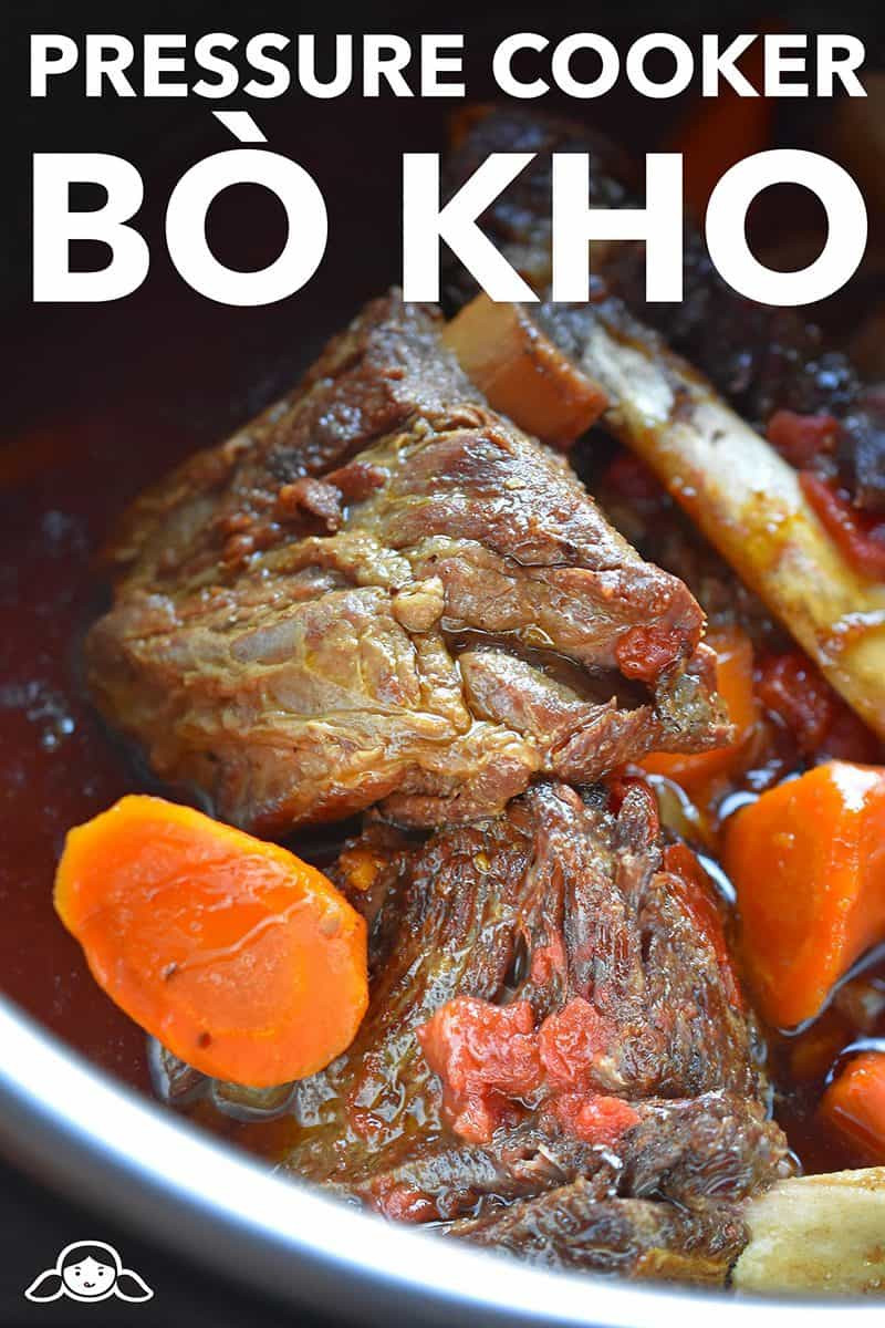 Instant Pot Vietnamese Recipes
 Instant Pot Pressure Cooker Bò Kho Vietnamese Beef Stew