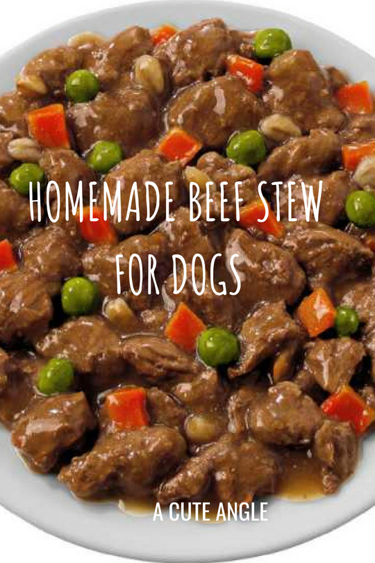 Is Ground Beef Good For Dogs
 Homemade Beef Stew for Dogs A Cute Angle