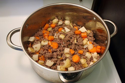 Is Ground Beef Good For Dogs
 I love My Dog Natural Pet Health Homemade Stew for DOGS